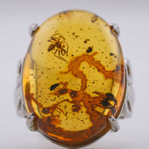 Front view of large golden-orange Burmite amber cabochon ring with silver-tone setting with extinct Cretaceous paleobiota