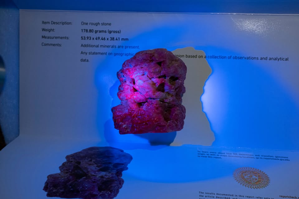 Large rough burmese ruby with bright flourescence under ultraviolet lighting
